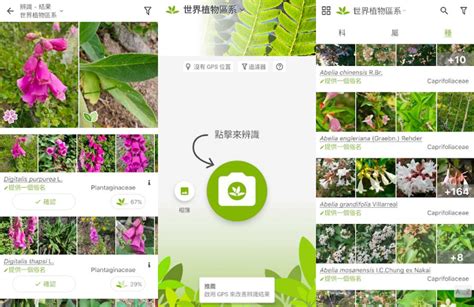 免費植物|植物 App 推薦：精選 8 款植物辨識 App、植物日記 App、植物花。